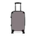 A hard-shell hardside suitcase in a muted taupe-gray color, featuring a telescoping handle extended at the top and dual spinner wheels at the bottom, shown against a plain white background.